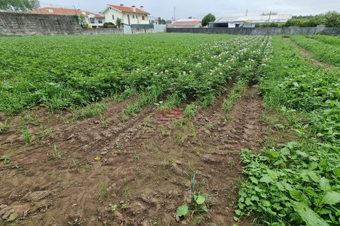 Helårsgrund i Maia, Porto, Maia - € 199.000 | Ref: NOVA-ER-1334 - foto 7