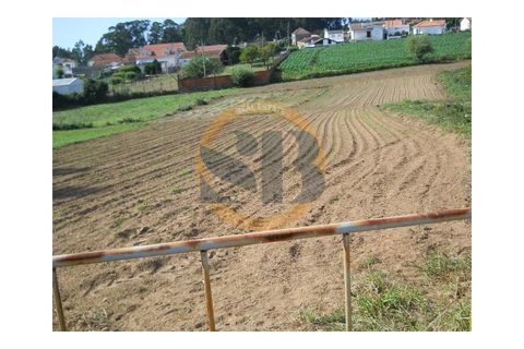 Helårsgrund i Ovar, Aveiro, Ovar - € 200.000 | Ref: T/0393 - foto 2