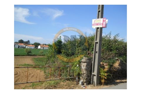 Helårsgrund i Ovar, Aveiro, Ovar - € 200.000 | Ref: T/0393 - foto 4