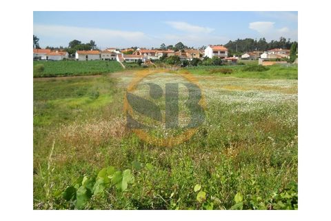 Helårsgrund i Ovar, Aveiro, Ovar - € 200.000 | Ref: T/0393 - foto 7