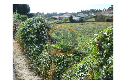 Helårsgrund i Ovar, Aveiro, Ovar - € 200.000 | Ref: T/0393 - foto 8
