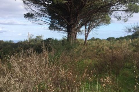 Helårsgrund i Messina, Messina, Messina - € 16.000 | Ref: MFE-5493 - foto 3