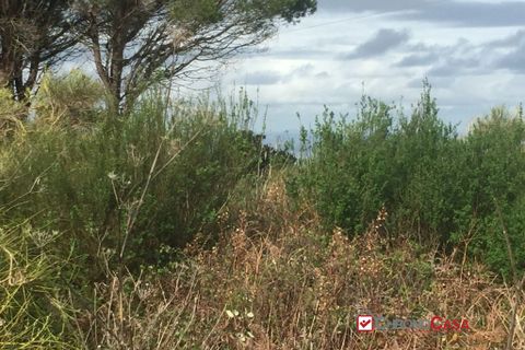 Helårsgrund i Messina, Messina, Messina - € 16.000 | Ref: MFE-5493 - foto 4