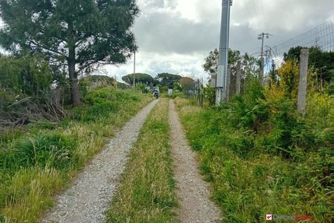 Helårsgrund i Messina, Messina, Messina - € 16.000 | Ref: MFE-5493 - foto 12