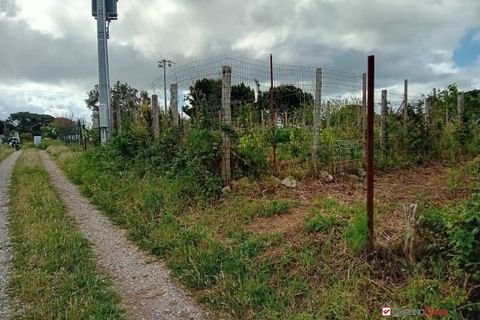 Helårsgrund i Messina, Messina, Messina - € 16.000 | Ref: MFE-5493 - foto 13