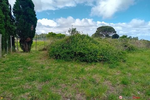 Helårsgrund i Messina, Messina, Messina - € 16.000 | Ref: MFE-5493 - foto 14