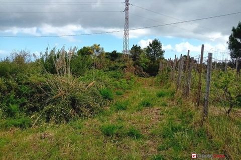 Helårsgrund i Messina, Messina, Messina - € 16.000 | Ref: MFE-5493 - foto 15