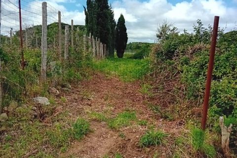 Helårsgrund i Messina, Messina, Messina - € 16.000 | Ref: MFE-5493 - foto 16