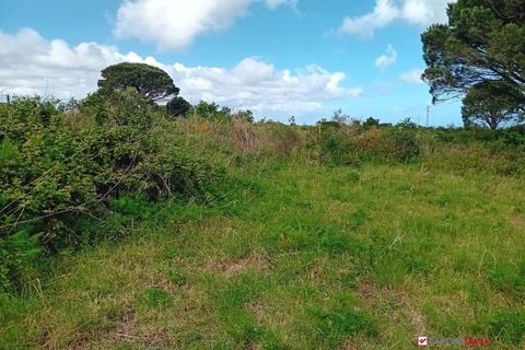 Helårsgrund i Messina, Messina, Messina - € 16.000 | Ref: MFE-5493 - foto 17