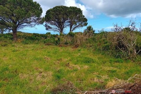 Helårsgrund i Messina, Messina, Messina - € 16.000 | Ref: MFE-5493 - foto 18