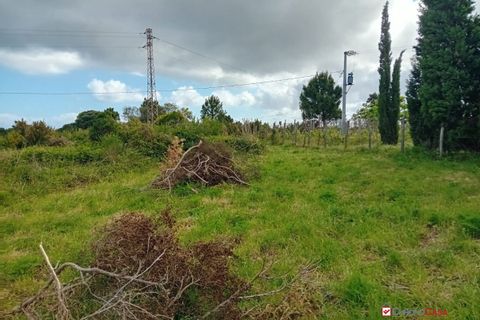 Helårsgrund i Messina, Messina, Messina - € 16.000 | Ref: MFE-5493 - foto 19