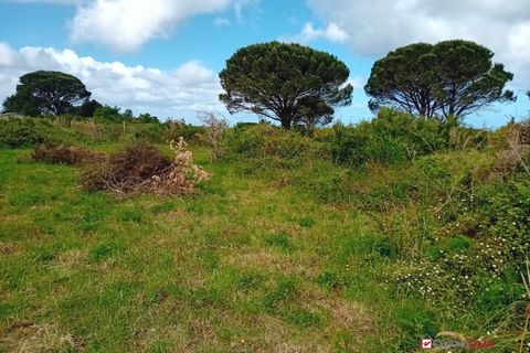 Helårsgrund i Messina, Messina, Messina - € 16.000 | Ref: MFE-5493 - foto 20