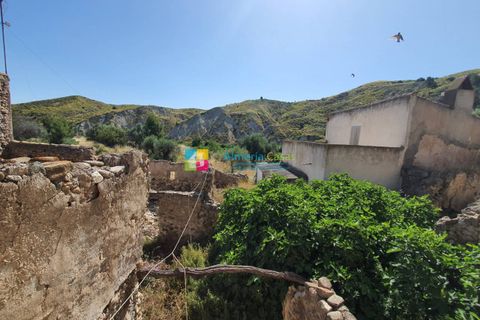 Landejendom i Arboleas, Almeria, Arboleas - € 145.000 | Ref: 2048 - foto 38