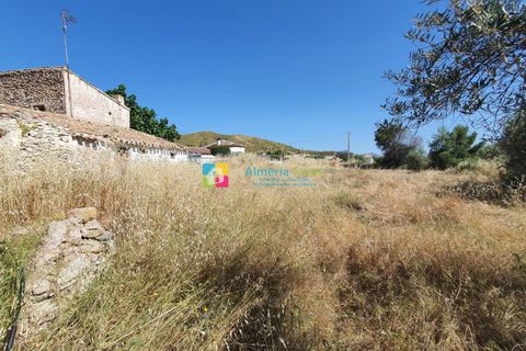 Landejendom i Arboleas, Almeria, Arboleas - € 145.000 | Ref: 2048 - foto 44