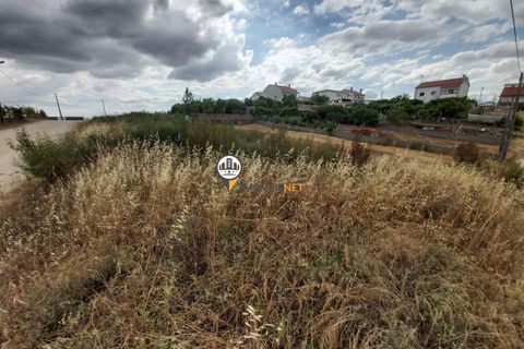 Helårsgrund i Castelo Branco, Castelo Branco, Castelo Branco - € 28.000 | Ref: 2453 - foto 2