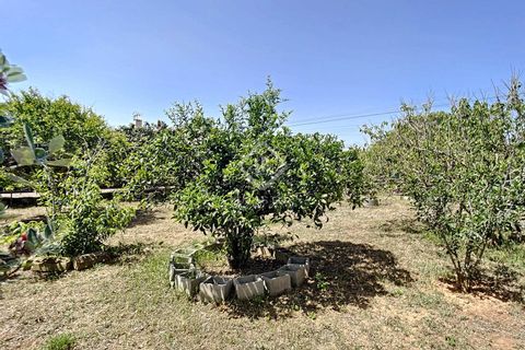 Villa i Mahon, Menorca, Mahon - € 1.000.000 | Ref: MEN35011 - foto 9
