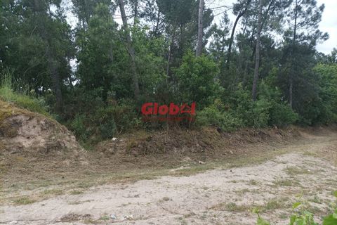 Helårsgrund i Viseu, Viseu, Viseu - € 30.000 | Ref: 189222154 - foto 2