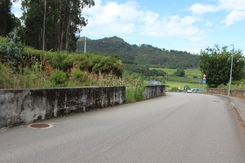 Helårsgrund i Ponte de Lima, Viana do Castelo, Ponte de Lima - € 120.000 | Ref: 1817 - foto 2