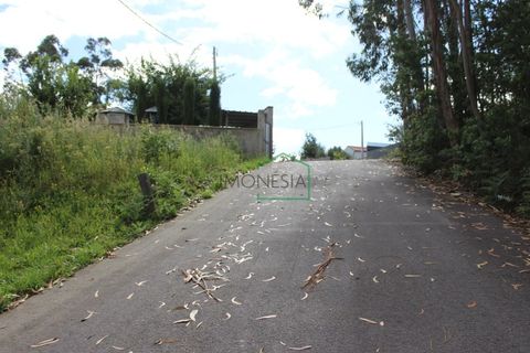 Helårsgrund i Ponte de Lima, Viana do Castelo, Ponte de Lima - € 120.000 | Ref: 1817 - foto 3