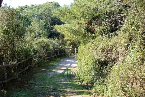 Lejlighed i Grosseto, Grosseto, Grosseto - € 2.000.000 | Ref: 7080301 - foto 26