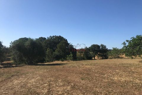 Landejendom i Cisternino, Brindisi, Cisternino - € 420.000 | Ref: 174 - foto 8