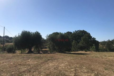Landejendom i Cisternino, Brindisi, Cisternino - € 420.000 | Ref: 174 - foto 26