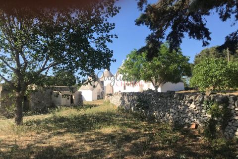 Landejendom i Cisternino, Brindisi, Cisternino - € 420.000 | Ref: 174 - foto 21