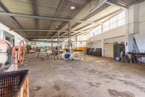 Farm hus i Evora, Evora, Evora - € 250.000 | Ref: 318/M/02893 - foto 17