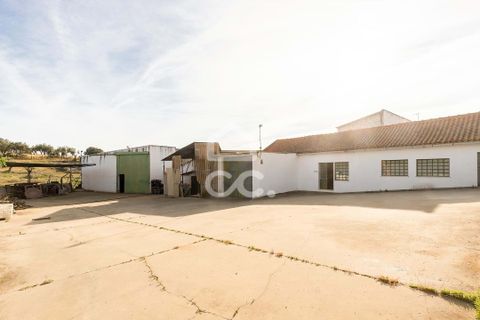 Farm hus i Evora, Evora, Evora - € 250.000 | Ref: 318/M/02893 - foto 23