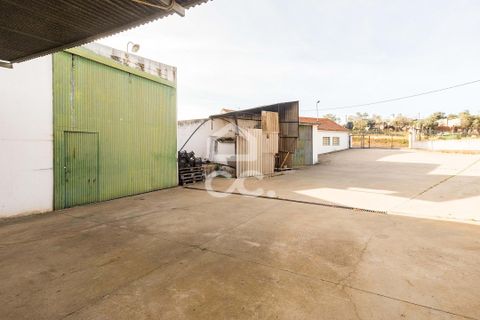 Farm hus i Evora, Evora, Evora - € 250.000 | Ref: 318/M/02893 - foto 24