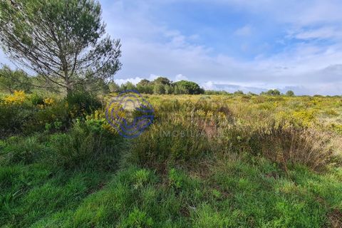 Helårsgrund i Cascais, Lisbon, Cascais - € 1.500.000 | Ref: 141691 - foto 11