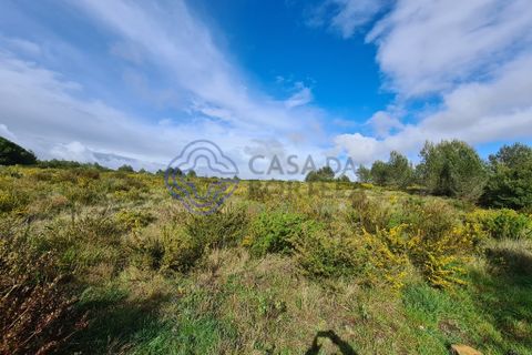 Helårsgrund i Cascais, Lisbon, Cascais - € 1.500.000 | Ref: 141691 - foto 14