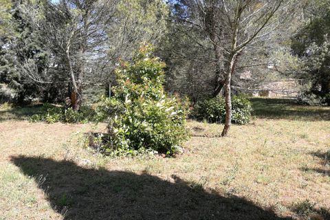 Terra a Badens, Aude, Badens - € 116.667 | Ref: 5618 - foto 3