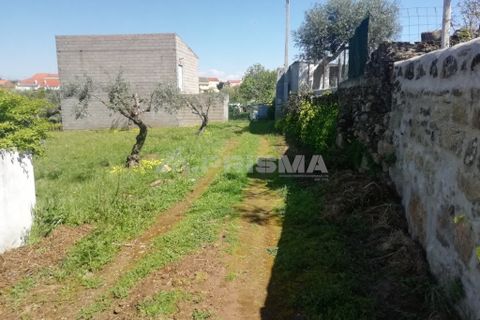 Helårsgrund i Castelo Branco, Castelo Branco, Castelo Branco - € 22.000 | Ref: PP3904 - foto 2