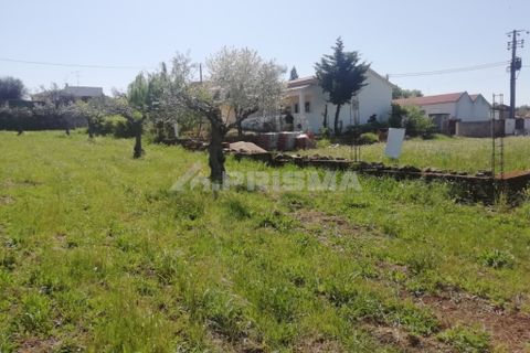 Helårsgrund i Castelo Branco, Castelo Branco, Castelo Branco - € 22.000 | Ref: PP3904 - foto 3