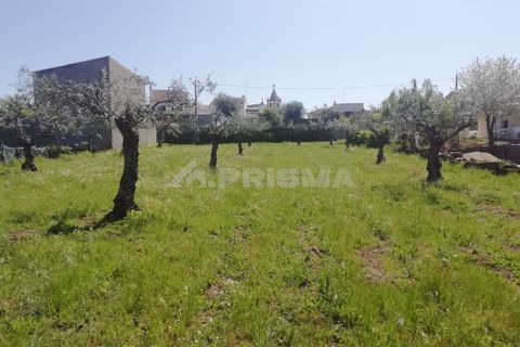 Helårsgrund i Castelo Branco, Castelo Branco, Castelo Branco - € 22.000 | Ref: PP3904 - foto 4
