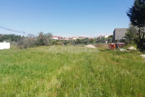 Helårsgrund i Castelo Branco, Castelo Branco, Castelo Branco - € 22.000 | Ref: PP3904 - foto 5