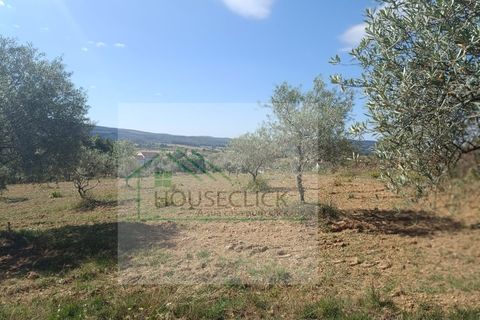Helårsgrund i Fundao, Castelo Branco, Fundao - € 20.000 | Ref: House_128 - foto 3