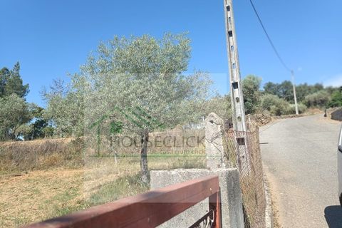 Helårsgrund i Fundao, Castelo Branco, Fundao - € 20.000 | Ref: House_128 - foto 5