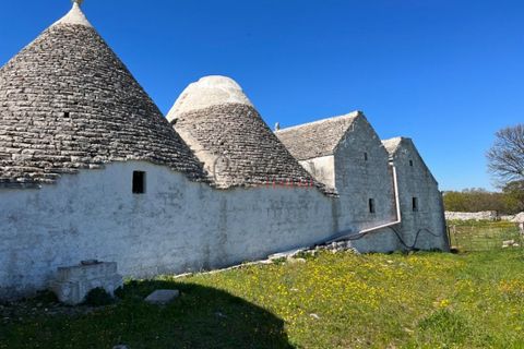Landejendom i Monopoli, Bari, Monopoli - € 1.000.000 | Ref: 177 - foto 14