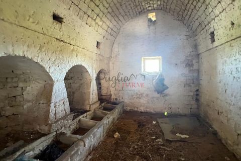 Landejendom i Monopoli, Bari, Monopoli - € 1.000.000 | Ref: 177 - foto 19