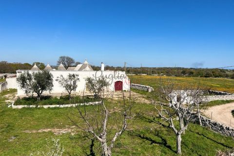 Landejendom i Monopoli, Bari, Monopoli - € 1.000.000 | Ref: 177 - foto 16