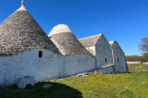 Landejendom i Monopoli, Bari, Monopoli - € 1.000.000 | Ref: 177 - foto 6
