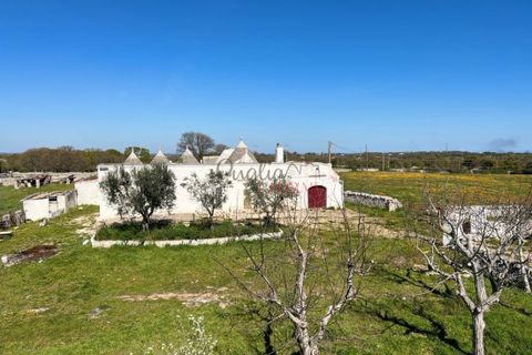 Landejendom i Monopoli, Bari, Monopoli - € 1.000.000 | Ref: 177 - foto 18