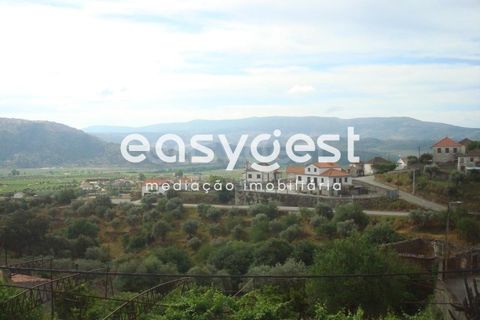 Villa a Torre de Moncorvo, Braganca, Torre de Moncorvo - € 118.000 | Ref: BG88553TM - foto 18