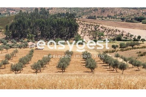 Farm hus i Ourique, Beja, Ourique - € 276.000 | Ref: BJ88516 - foto 5