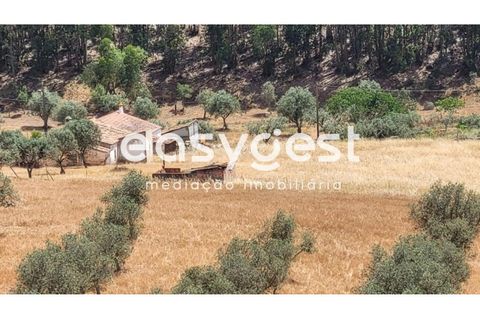 Farm hus i Ourique, Beja, Ourique - € 276.000 | Ref: BJ88516 - foto 6