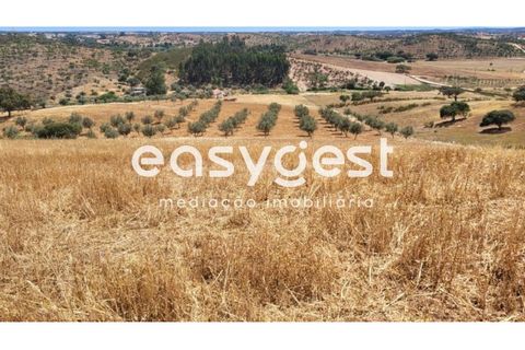 Farm hus i Ourique, Beja, Ourique - € 276.000 | Ref: BJ88516 - foto 7