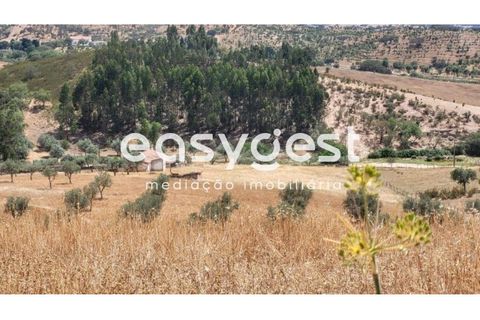 Farm hus i Ourique, Beja, Ourique - € 276.000 | Ref: BJ88516 - foto 8