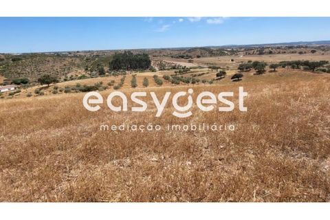 Farm hus i Ourique, Beja, Ourique - € 276.000 | Ref: BJ88516 - foto 9